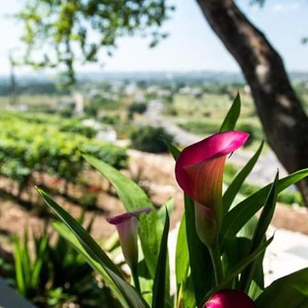Belvedere Locorotondo Kültér fotó